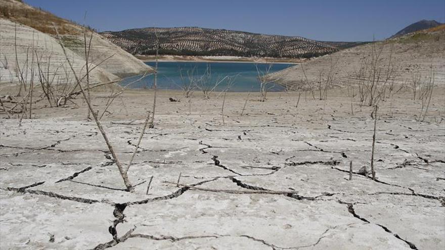 La patronal exige medidas urgentes ante la mayor sequía desde 1995