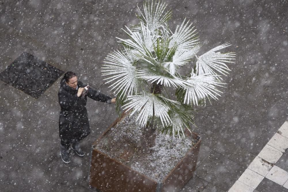 Primera nevada en Zamora capital