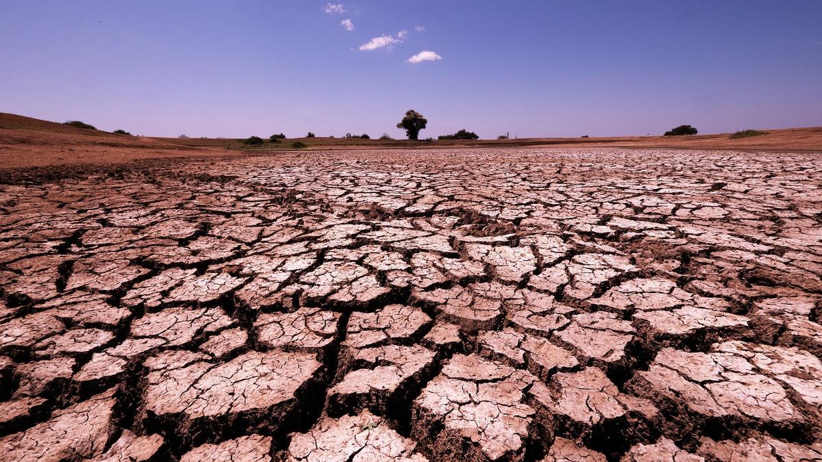 Las sequías extremas han aumentado en los últimos años