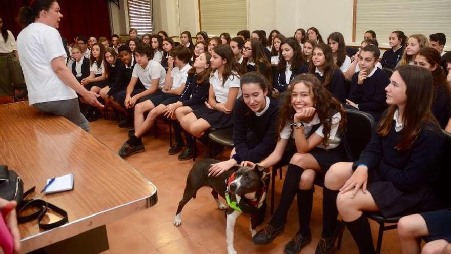 La presidenta de Os Palleiros y la perra Triana ayer en la charla con los alumnos de las Doroteas. // R.V.