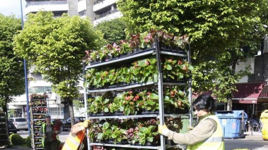 Trabajadores del servicio de mantenimiento de parques y jardines colocan plantas en el bulevar de Gran Vía. // A. Irago