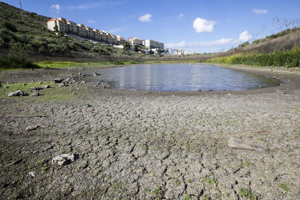 16.11.18. Las Palmas de Gran Canaria. Charcos de ...