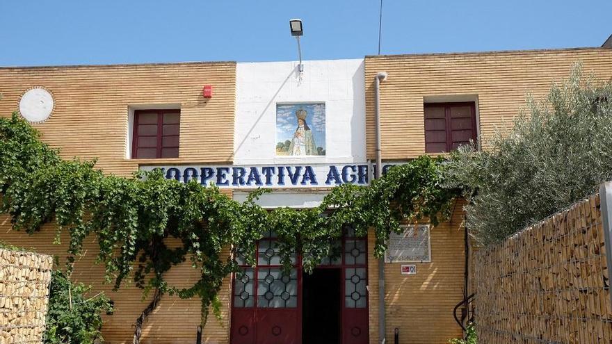 Bodegas La Purísima lanza un nuevo vino ecológico, manteniendo su filosofía de respeto al medio ambiente