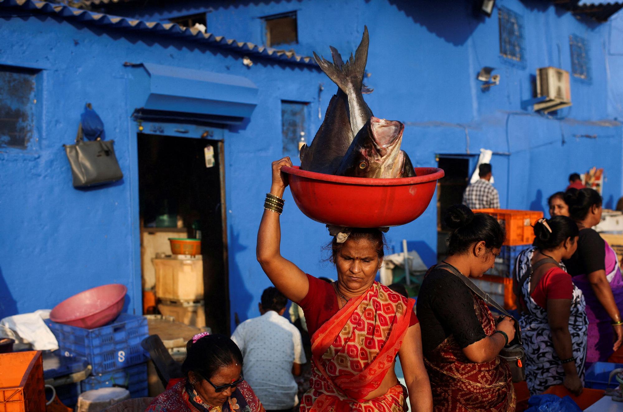 Una mujer acarrea pescado en Mumbai, India.