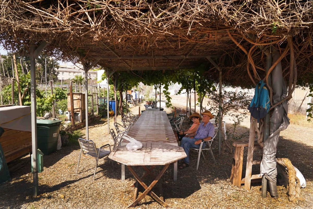 Décimo aniversario del huerto urbano más grande de la capital malagueña.