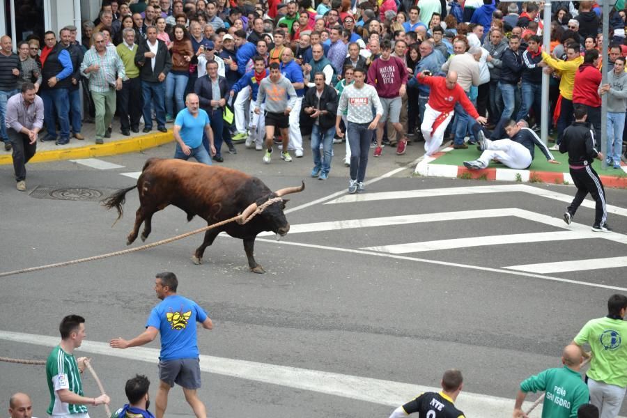 Enmaromado 2016: Lechugazo da la talla