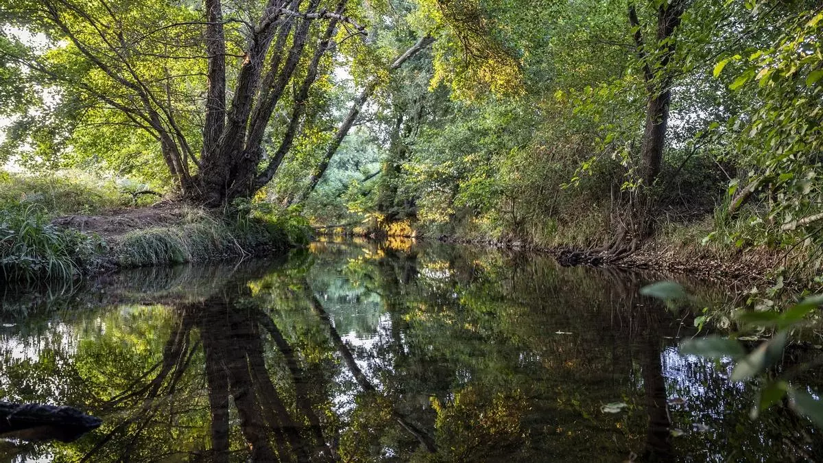 Las Reservas Naturales Fluviales del Guadiana ocupan 318 kilómetros