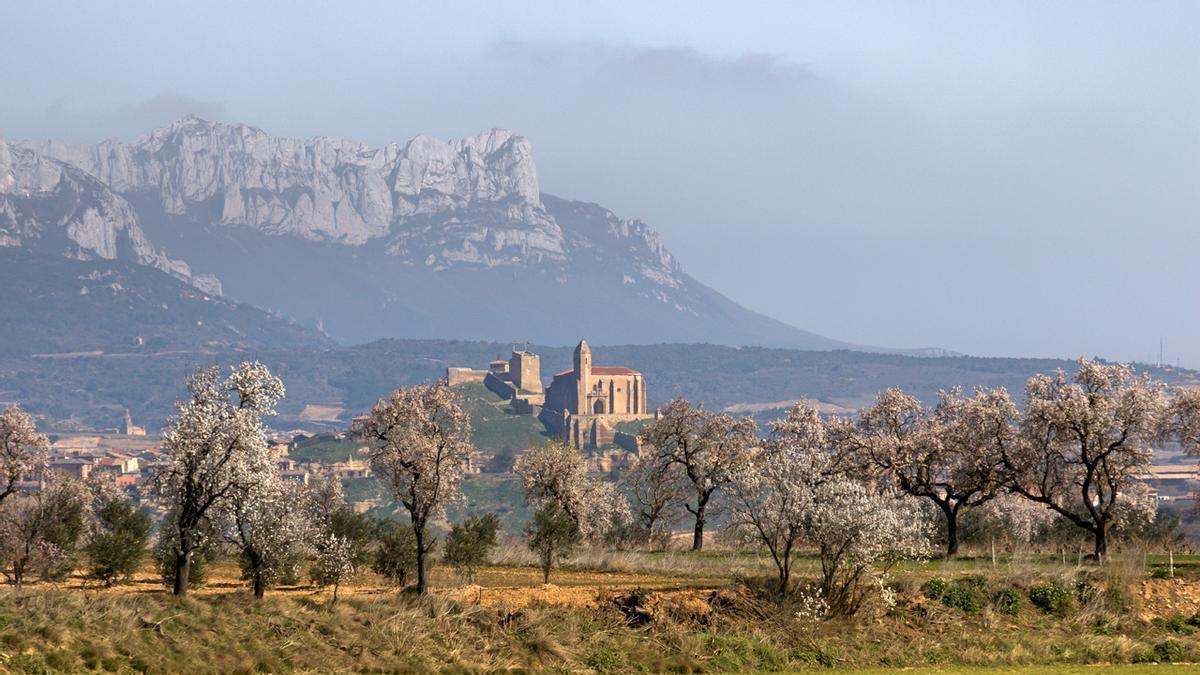 La Rioja en primavera, del despertar de los campos a la meca de la verdura pasando por una Semana Santa única