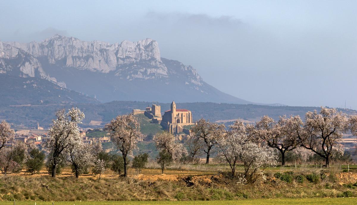 Almendros en flor