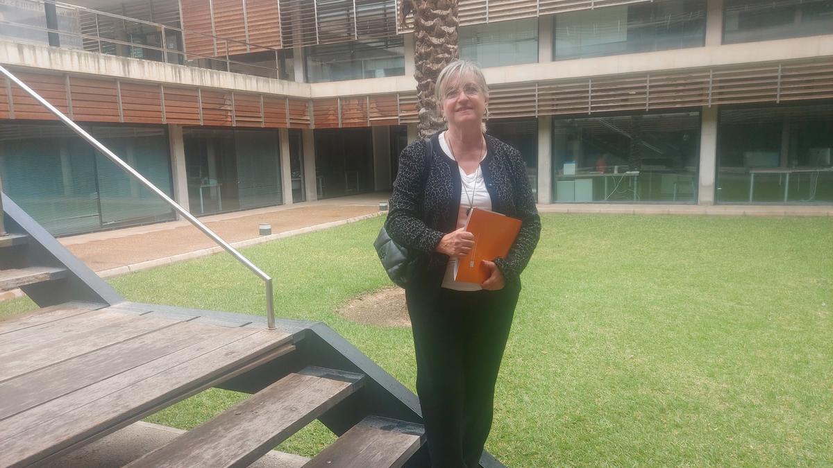 Ángeles Sirvent, directora de la Escuela Internacional de Doctorado de la UA.