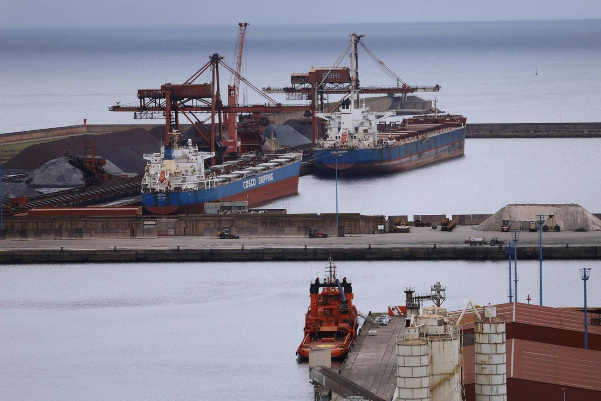 Barcos descargando en la terminal de minerales Ebhisa, por la que recibe sus materias primas Arcelor.