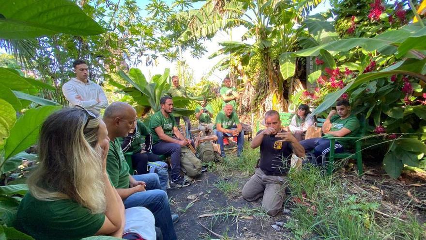 Biofest planta más de un centenar de plataneras y frutales en fincas dañadas por el volcán de La Palma