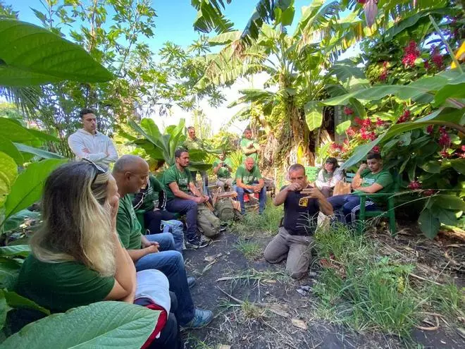 Biofest planta más de un centenar de plataneras y frutales en fincas dañadas por el volcán de La Palma