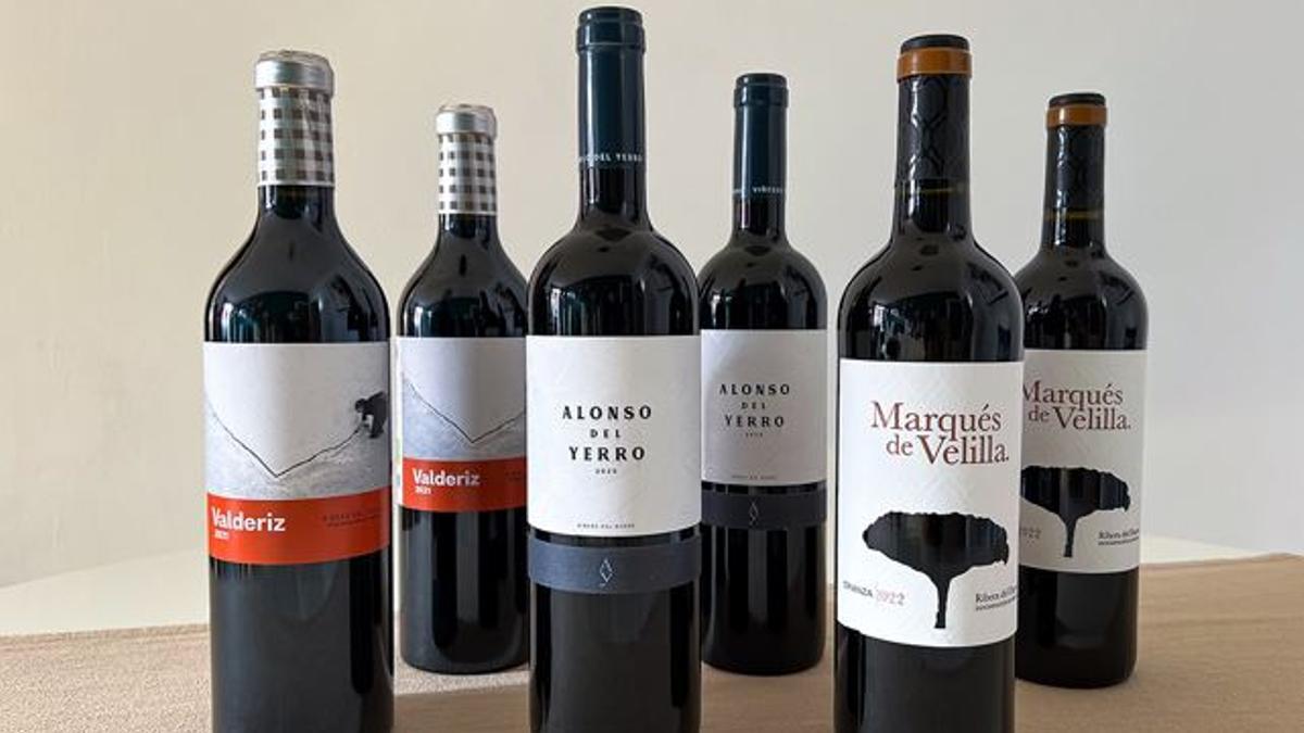 La selecció de vins d'aquest mes de novembre.