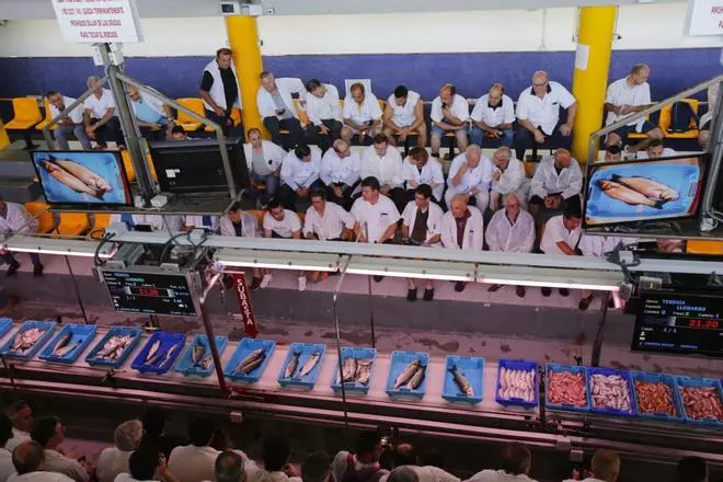Mariano Rajoy inicia la campaña en Santa Pola