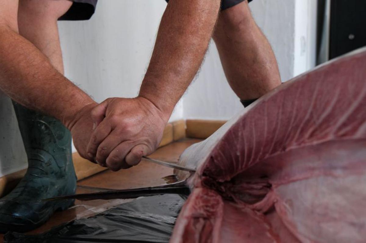 Las dos etiquetas obligatorias. |