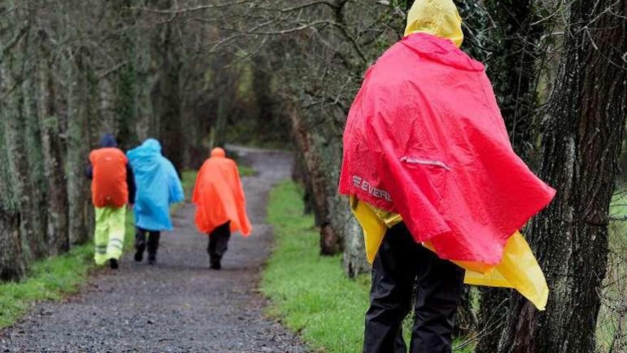 Peregrinos se protegen de la lluvia en Palas de Rei.