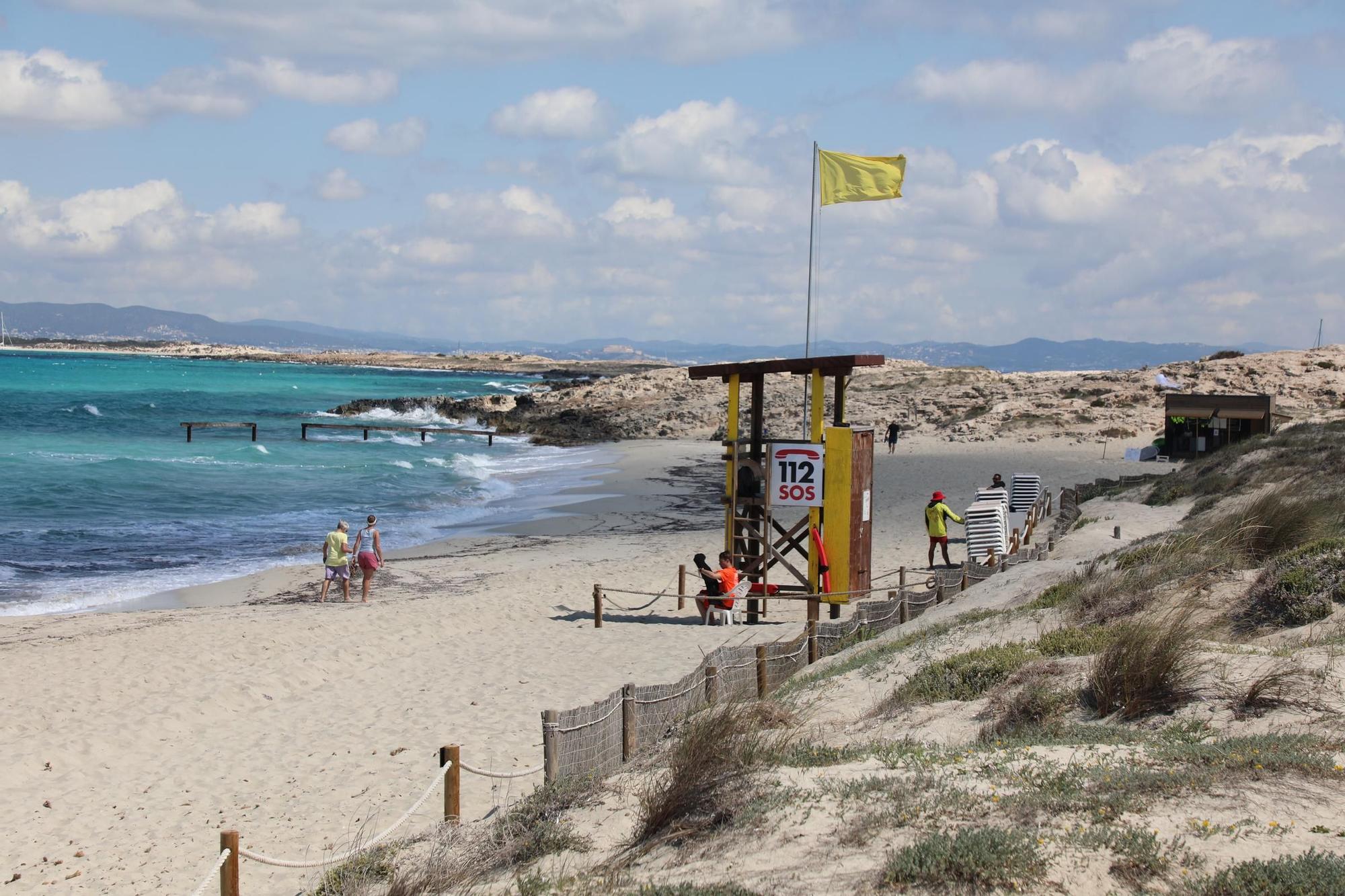 Galería: Control de acceso a ses Illetes y a la playa de Llevant en Formentera