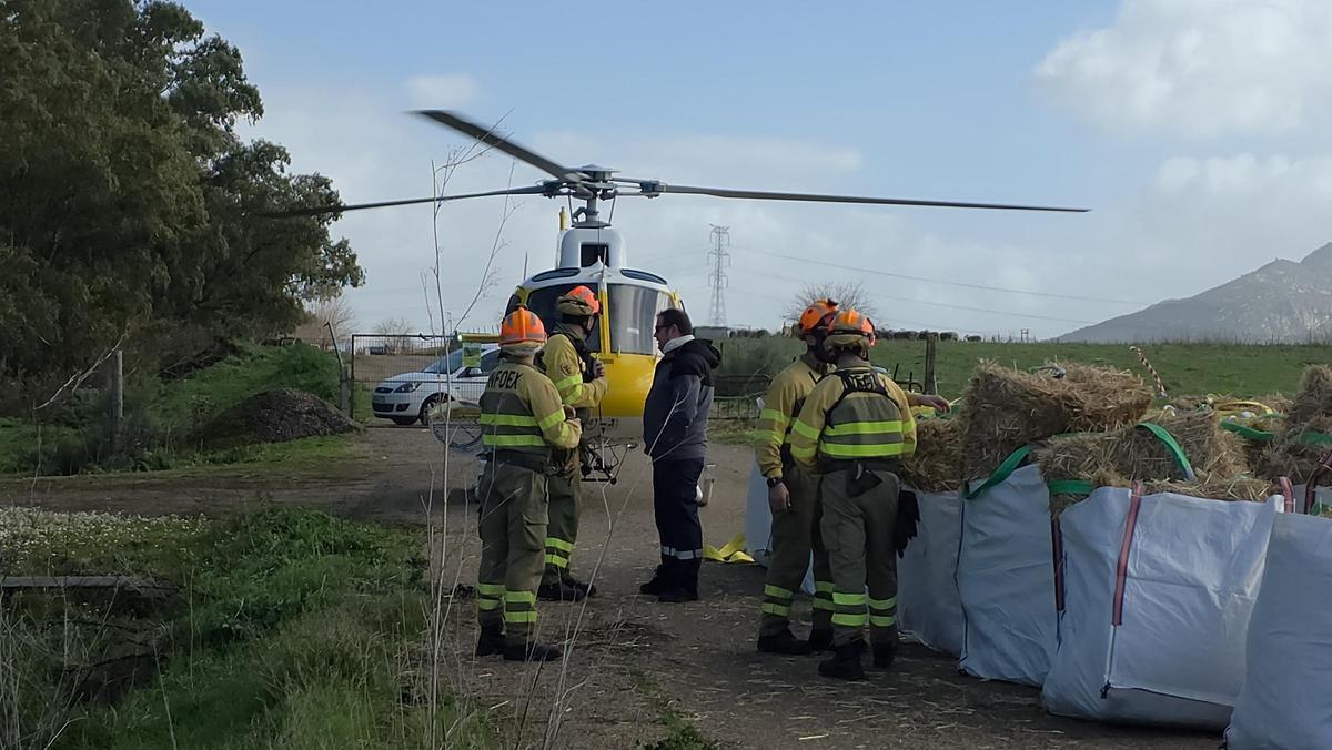 Fotogalería | Un helicóptero al rescate de las ovejas atrapadas en Arroyo de San Serván