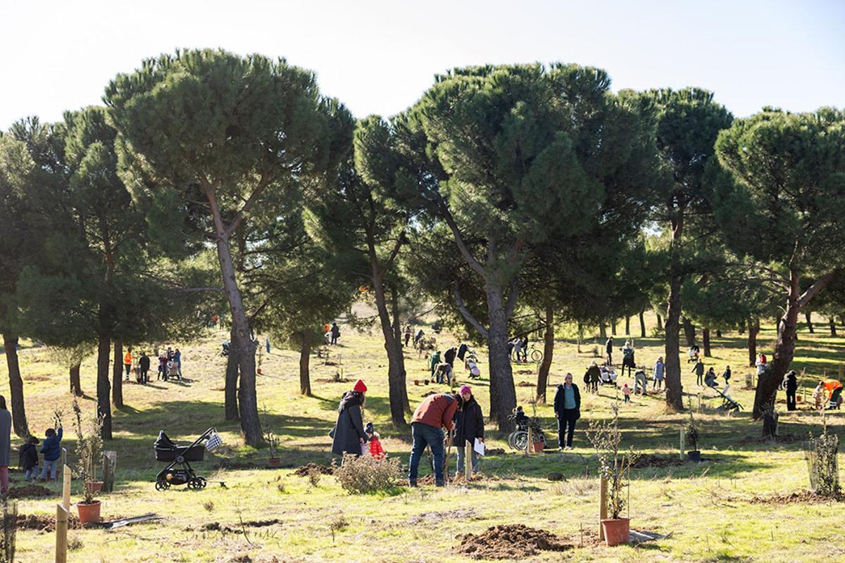 Parque Forestal Adolfo Suarez, Ayuntamiento de Pozuelo de Alarcón