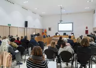 Formentera.eco: repetir como en 2025 o regular según el distintivo ambiental