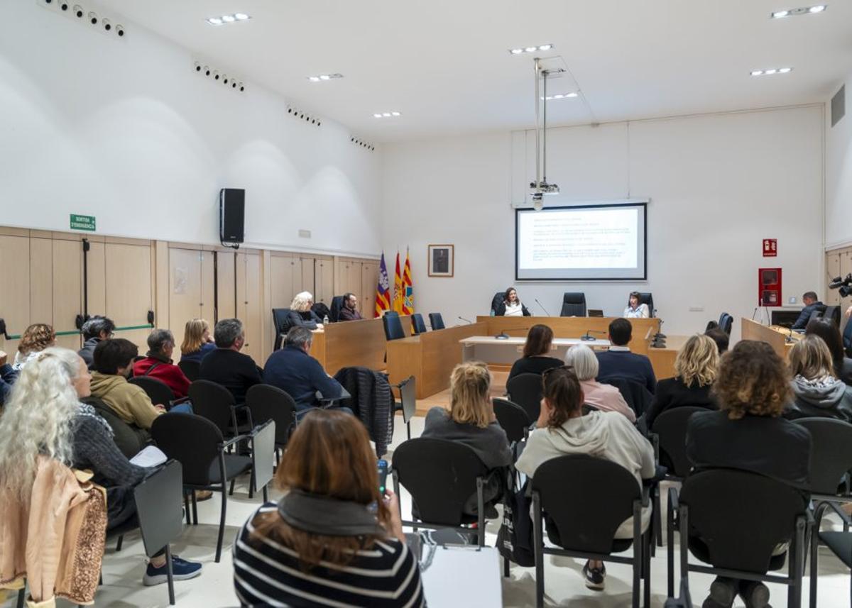 Reunión del Consell d’Entitats este martes 17 de febrero. | CIF