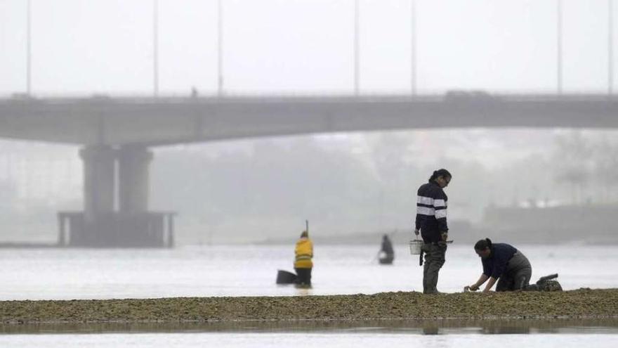 Los mariscadores, en la ría de O Burgo.