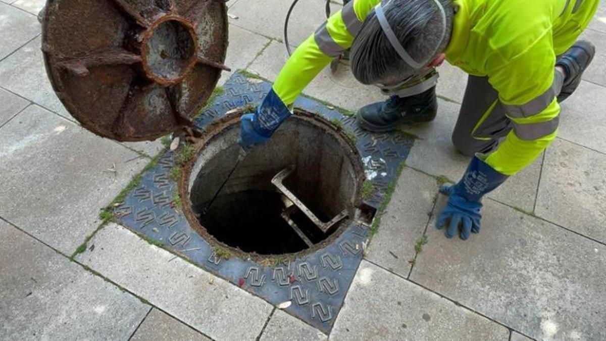 Un operario municipal de Mataró realiza el tratamiento preventivo para controlar la población de cucarachas en una alcantarilla de Mataró