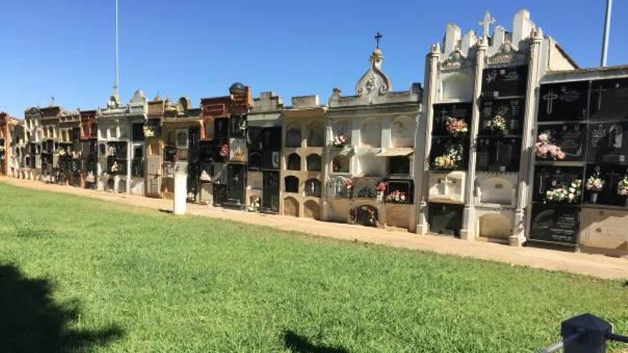 Espacio del cementerio de Carlet donde se cree que se encuentra la fosa.