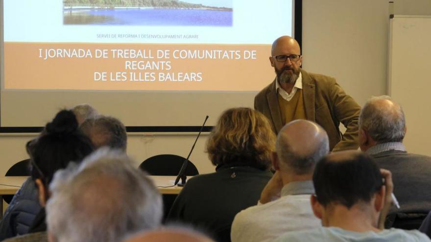 Agricultura en Mallorca: El Govern trabaja para que el 60% del riego agrícola sea con agua regenerada