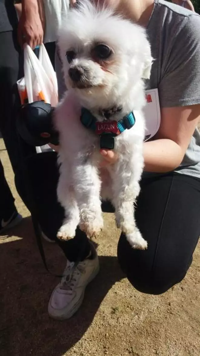 I Marxa Canina Solidària
