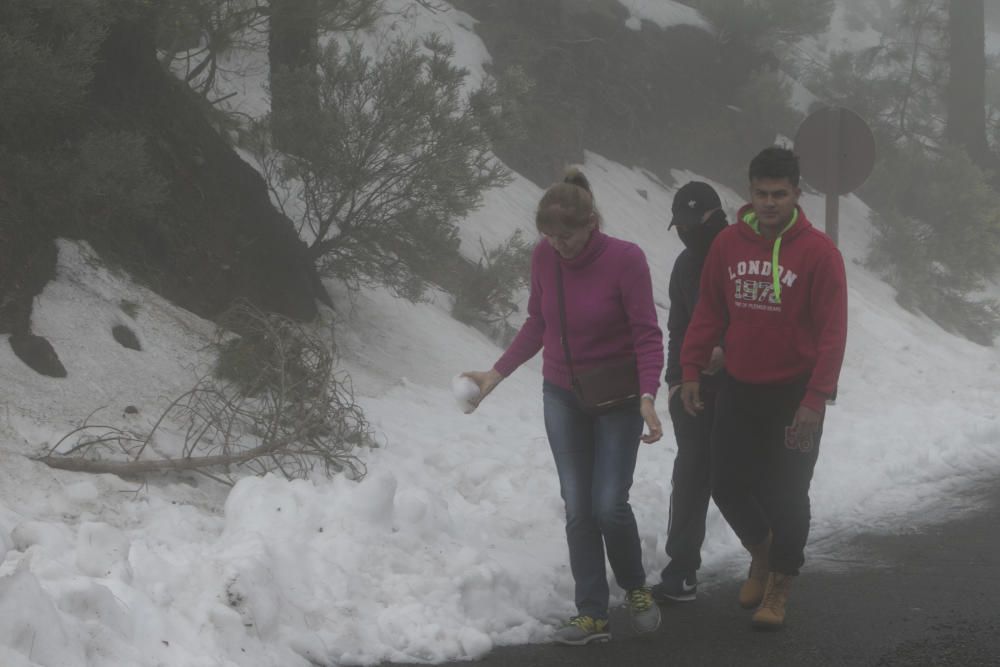 Miles de grancanarios suben a la Cumbre