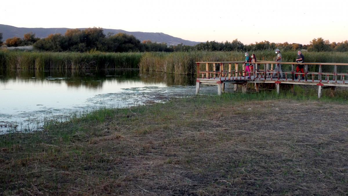 Parque nacional de Las Tablas de Daimiel, afectado por el mal estado de los acuíferos.