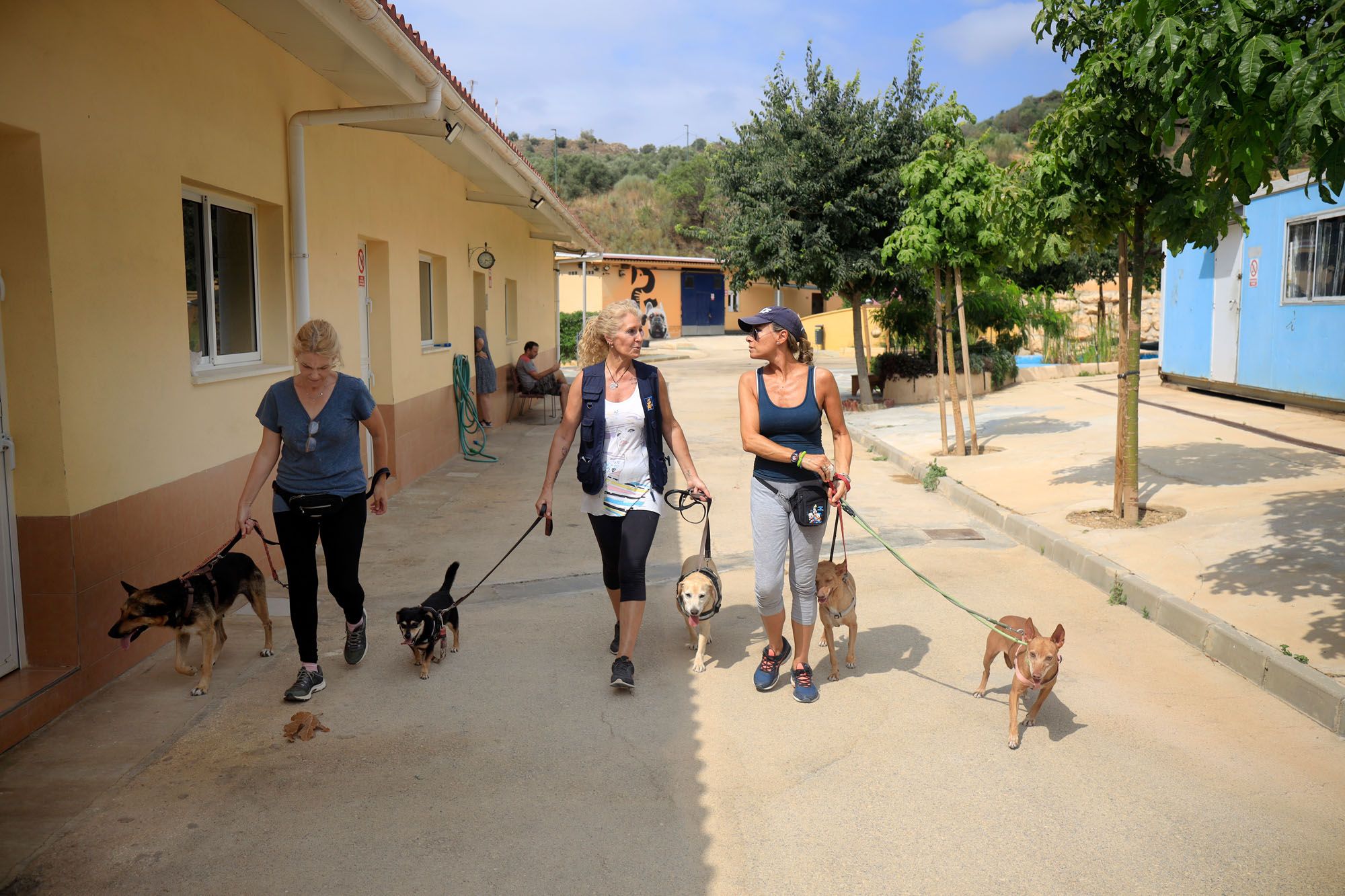 Estado de la Protectora de Animales de Málaga en julio de 2022