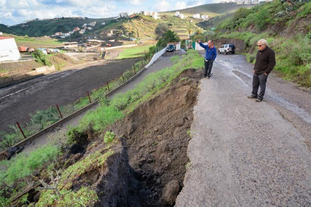 Rescatado de la granja de vacas a las tres de la mañana Rescatado de la granja de vacas a las tres de la mañana
