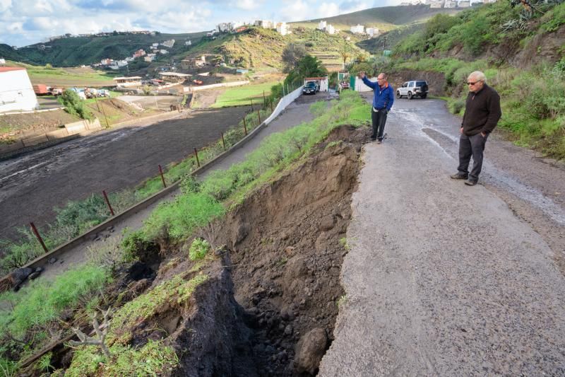 Rescatado de la granja de vacas a las tres de la mañana