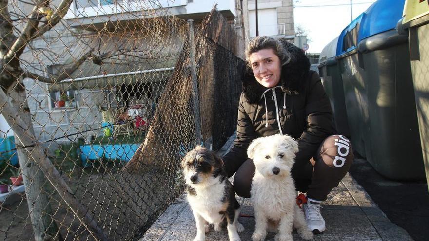Dos perros salvan a su dueña de un incendio en Ourense