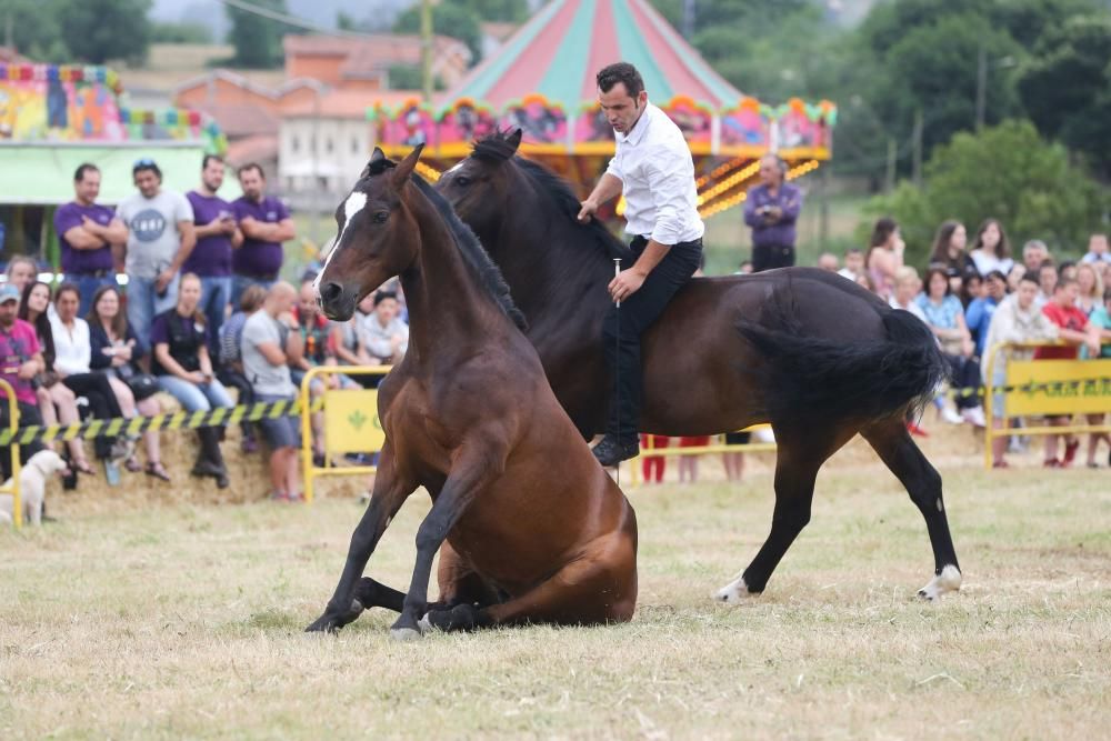 Espectáculo equestre en las fiestas de Premoño (Las Regueras)