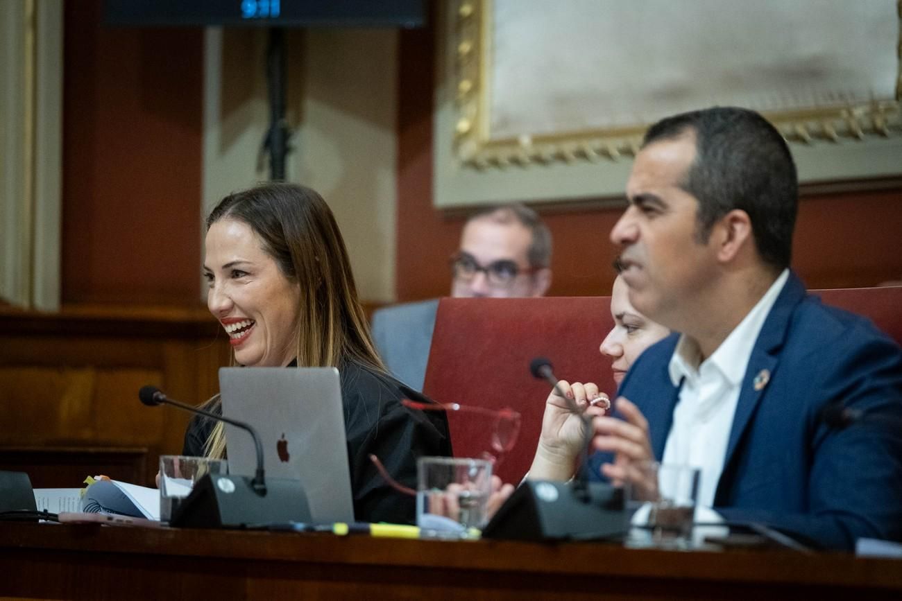 Pleno del Ayuntamiento de Santa Cruz de Tenerife del 29 de noviembre de 2024