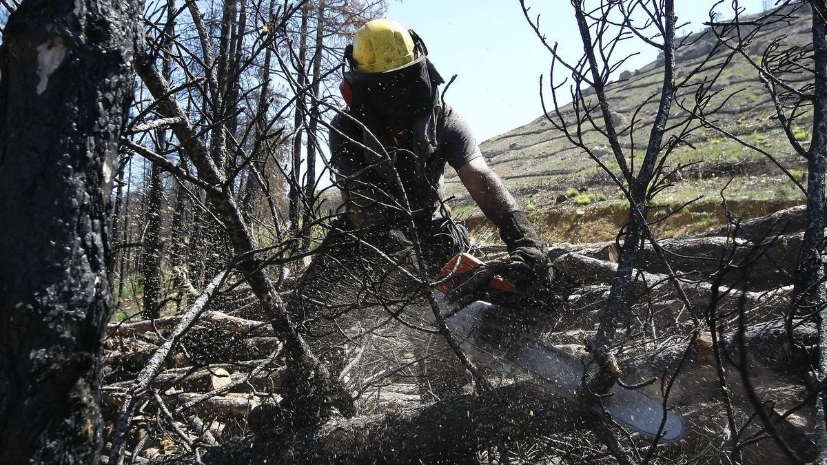 Un bombero trocea árboles quemados en el incendio de Ejulve del año 2009.