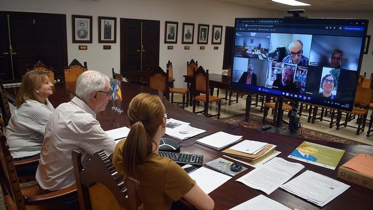 Un momento de la reunión telemática del jurado.