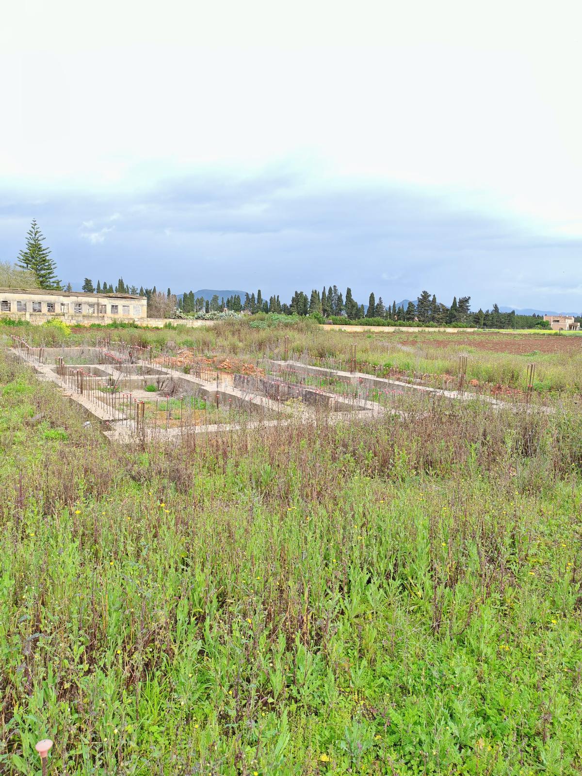 Solar del querellante, a las afueras de Muro, donde solo se hicieron los cimientos y el movimiento de tierras.