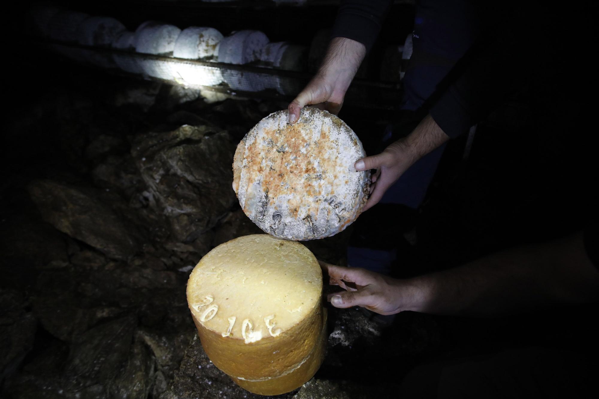 Así se elabora el gamonéu del Puertu: de la cueva a la mesa.