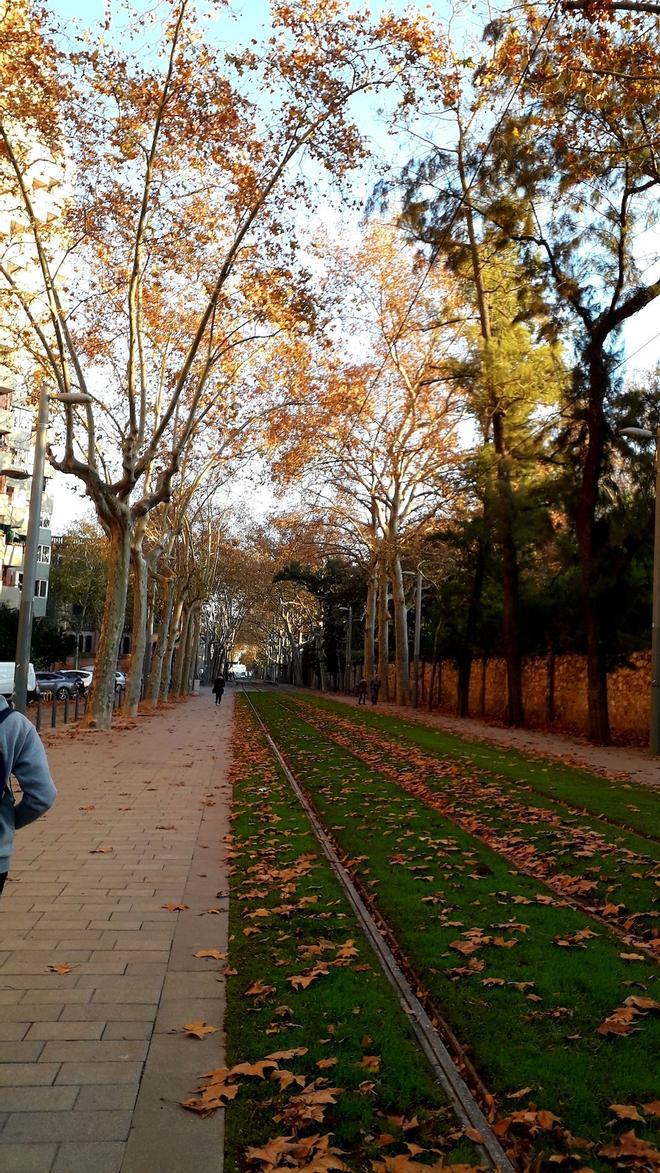 Otoño en Barcelona ferrocarril del trasvia