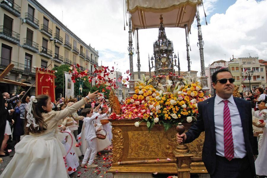 Así ha sido el Corpus 2016 en Zamora