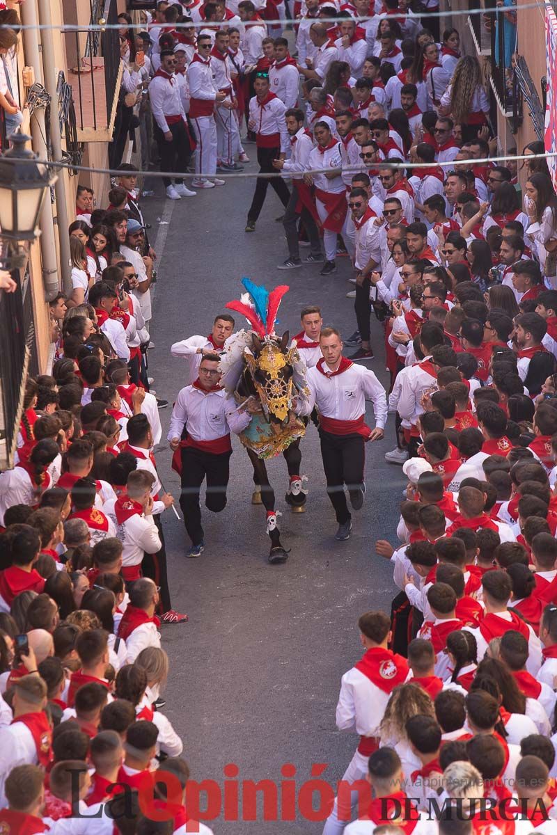 Caballos del Vino en la cuesta de la Simona