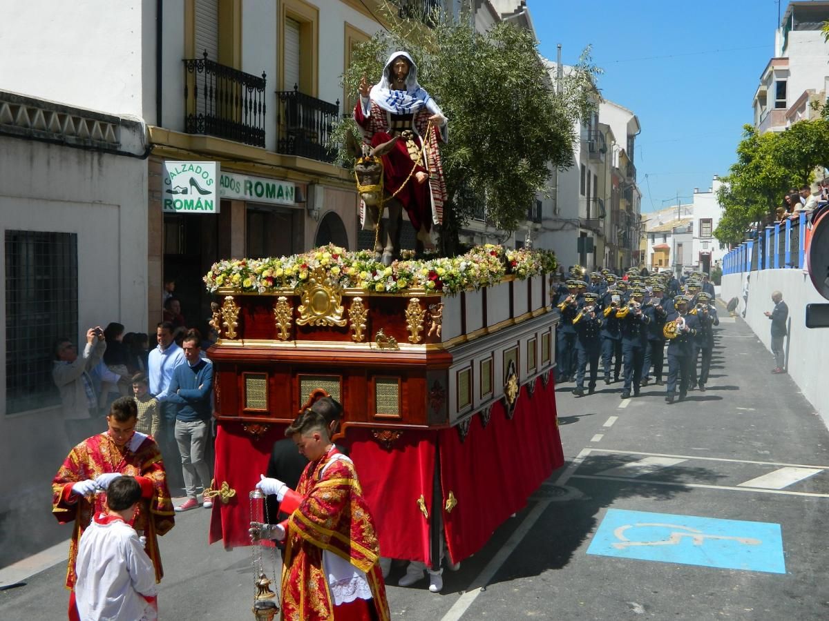 Domingo de Ramos en la provincia