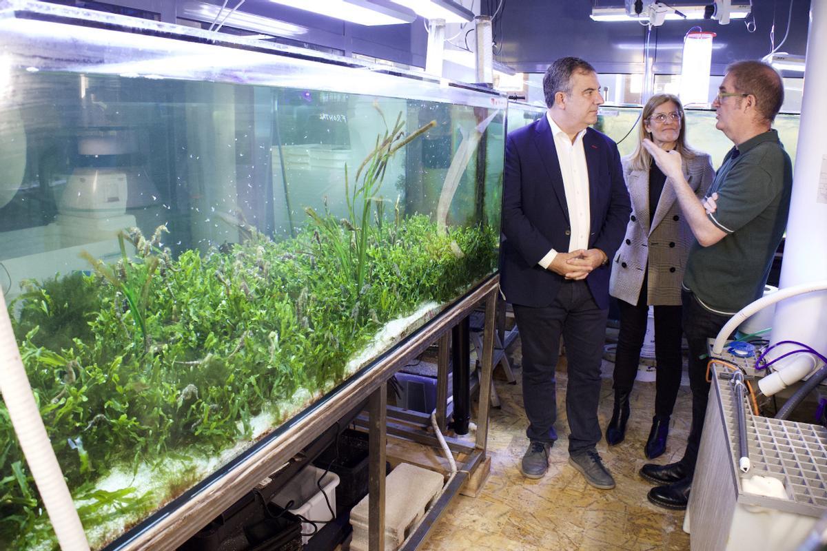 VISITA CONSEJERO JUAN MARIA VAZQUEZ AL ACUARIO DE LA UNIVERSIDAD