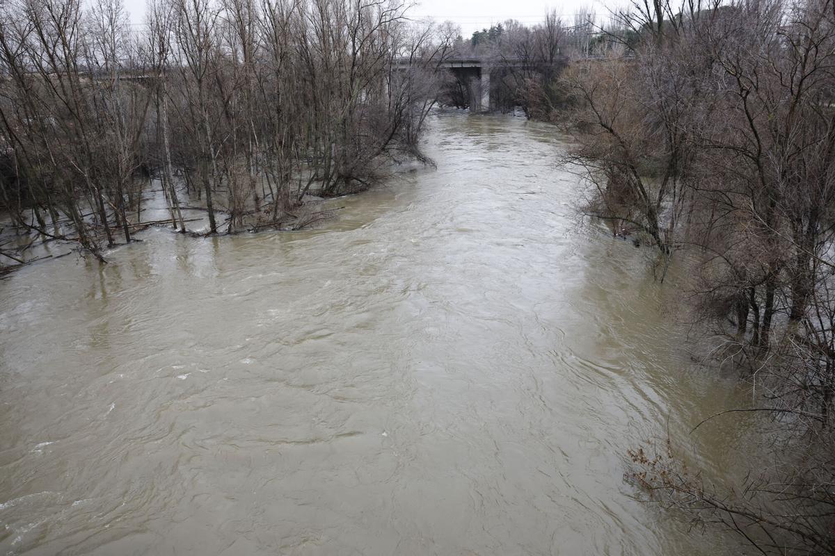 El río Jarama a la altura del Puente de San Fernando.