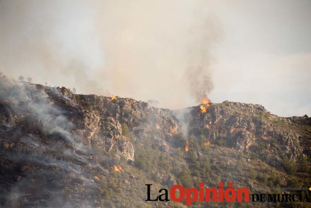 Incendio Sierra del Molino